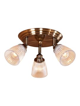 Спот Citilux Виндзор CL539631