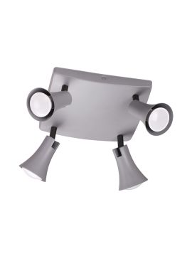 Спот Odeon Light Reanna 3825/4C