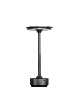 Настольная лампа Odeon Light Tet-a-tet 5034/6TL