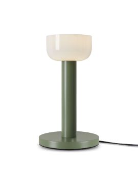 Настольная лампа Freya Barries FR6185TL-L5GN