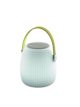 Настольная лампа Favourite Speaker 2128-1T