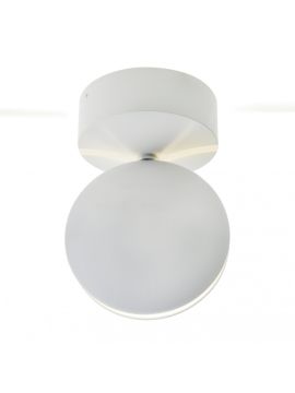 Уличный светодиодный светильник Kink Light Ореон 08574,01(4000К)