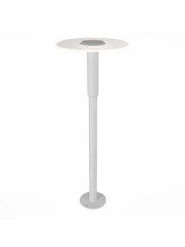 Уличный светодиодный светильник ST Luce SL099.505.01