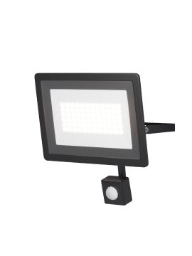 Прожектор Maytoni Flood FL001-L50B6KSR