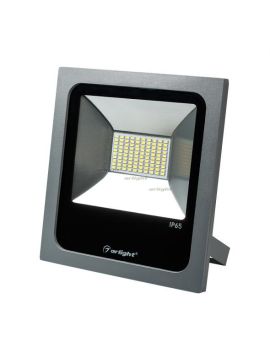 Прожектор Arlight AR-FLAT-50W-220V Day 023839