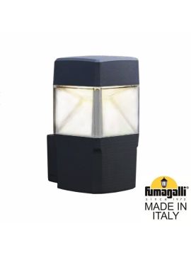 Уличный настенный светильник Fumagalli Elisa DS2.562.000.AXD1L