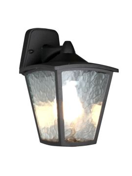 Уличный настенный светильник Favourite Colosso 1819-1W