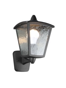 Уличный настенный светильник Favourite Colosso 1817-1W