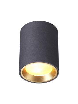 Уличный светильник Odeon Light Aquana 4205/1C