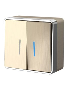 Выключатель двухклавишный с подсветкой Werkel Gallant шампань рифленый W5020110 4690389164200
