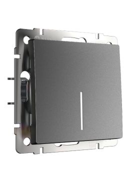 Выключатель одноклавишный проходной с подсветкой Werkel W1112164 4690389194337 a063101