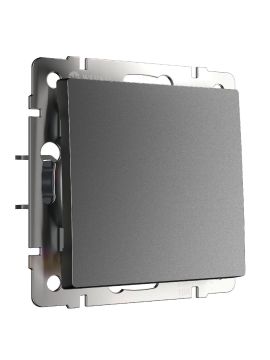 Выключатель одноклавишный проходной Werkel W1112064 4690389194320 a063097