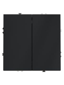 Выключатель двухклавишный Voltum S70 VLS020107