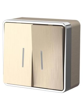 Выключатель двухклавишный с подсветкой Werkel Gallant шампань рифленый WL15-03-03 4690389129681