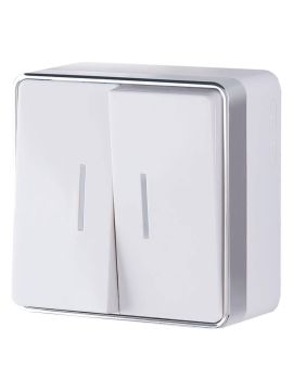 Выключатель Werkel двухклавишный с подсветкой Gallant белый WL15-03-03 4690389102073