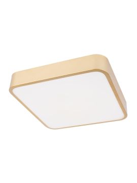 Потолочный светильник Loft IT Flims 10228/C