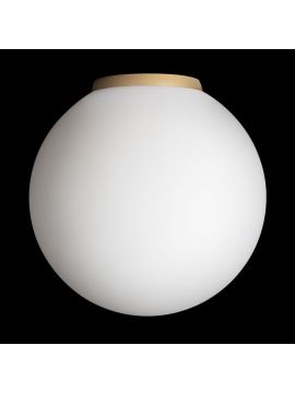 Потолочный светильник Citilux Ron CL941D20B2