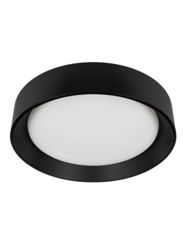 Потолочный светильник Loft IT Coin 10202 BB