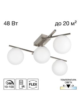 Потолочная люстра Citilux Dorsy CL223141