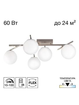 Потолочная люстра Citilux Dorsy CL223151