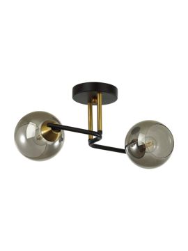 Потолочная люстра Lumion Moderni 5217/2C