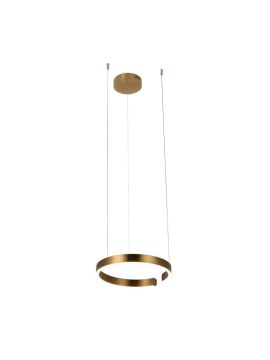 Подвесной светодиодный светильник Loft IT Ring 10013S