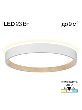 Потолочный светильник Citilux Etalon CL750240