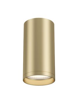 Потолочный светильник Maytoni FOCUS S C052CL-01MG