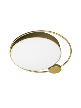 Потолочный светильник Loft IT Mike 10063