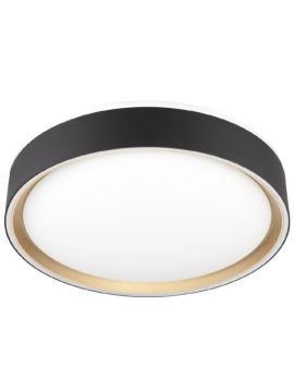 Потолочный светильник Citilux Boss CL751251G