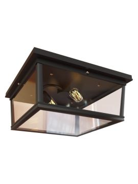 Потолочный светильник LOFT IT Modern filament Loft3110-2C