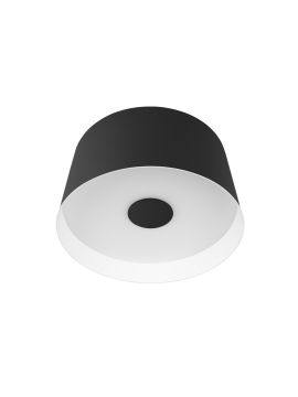 Потолочный светильник Loft IT Duo 10360S Black