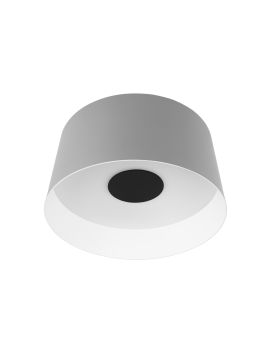 Потолочный светильник Loft IT Duo 10360M Grey