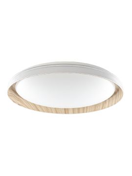 Потолочный светильник Citilux Mega CL752452G