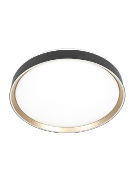 Потолочный светильник Citilux Boss CL751451G