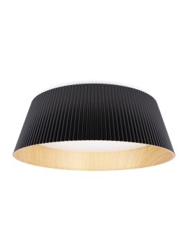 Потолочный светильник Loft IT Evans 10224 Black