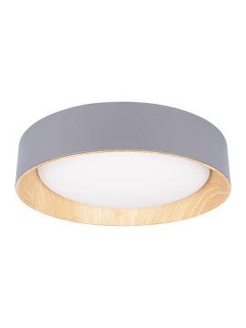 Потолочный светильник Loft IT Coin 10202 Grey