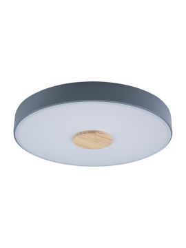 Потолочный светильник Loft IT AXEL 10003/24 Grey