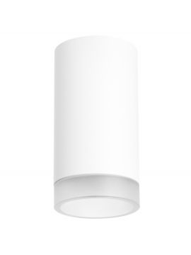 Потолочный светильник Lightstar RULLO R43630 (214436+202430)