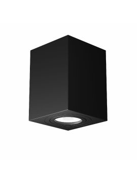 Потолочный светильник Maytoni Alfa C017CL-01B