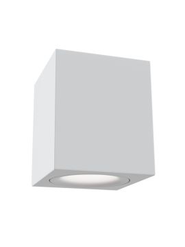 Потолочный светильник Maytoni Alfa C013CL-01W