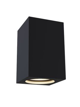 Потолочный светильник Maytoni Alfa C011CL-01B