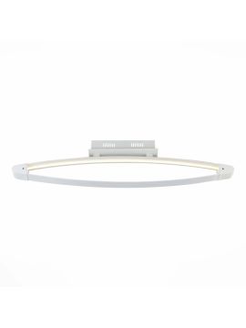 Потолочный светодиодный светильник ST Luce SL920.102.01