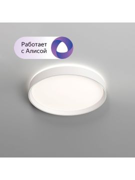 Потолочный светильник Denkirs Plato DK6510-WH/1