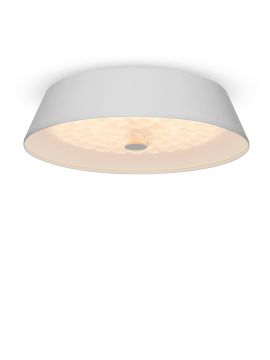 Потолочный светильник Freya Cells FR10013CL-L24W