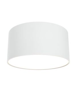 Потолочный светильник Maytoni Technical Zon C032CL-L12W3K