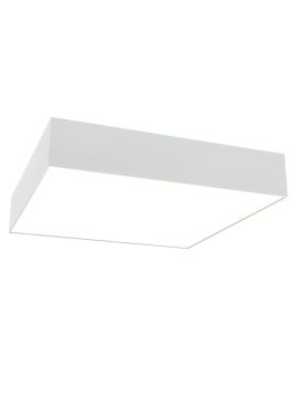 Потолочный светильник Maytoni Technical Zon C067CL-L40W4K