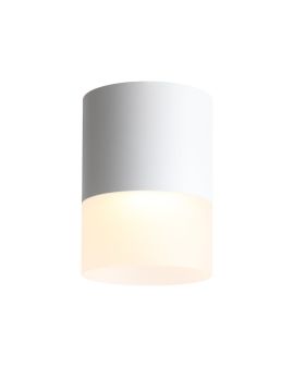 Потолочный светодиодный светильник ST Luce Ottu ST100.542.15