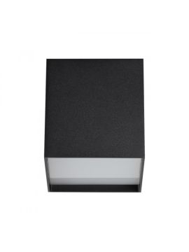 Потолочный светильник Odeon Light 4233/10CL