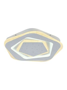 Потолочный светодиодный светильник F-Promo Ledolution 2281-5C